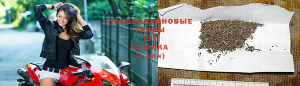 PSILOCYBIN Пестово