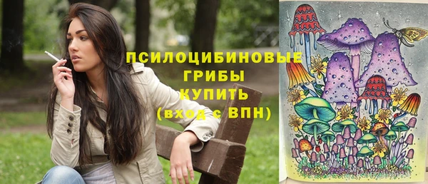 PSILOCYBIN Пестово